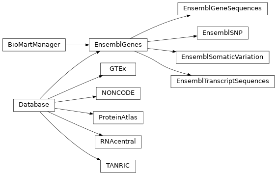 Inheritance diagram of openomics.database.annotation.BioMartManager, openomics.database.annotation.EnsemblGeneSequences, openomics.database.annotation.EnsemblGenes, openomics.database.annotation.EnsemblSNP, openomics.database.annotation.EnsemblSomaticVariation, openomics.database.annotation.EnsemblTranscriptSequences, openomics.database.annotation.GTEx, openomics.database.annotation.NONCODE, openomics.database.annotation.ProteinAtlas, openomics.database.annotation.RNAcentral, openomics.database.annotation.TANRIC